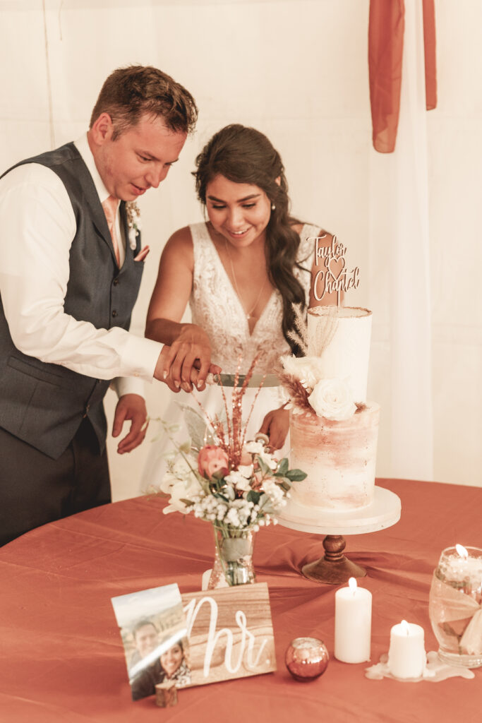 cake cutting photography, northern Idaho wedding photographer