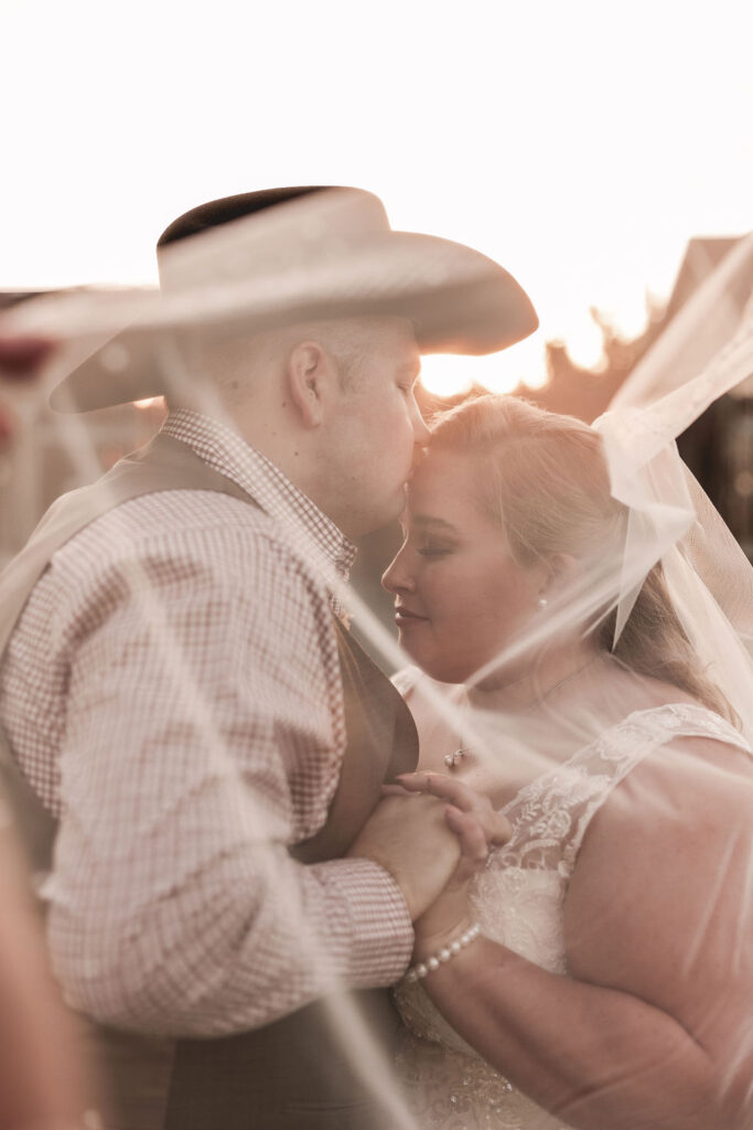 Idaho wedding photography, wedding veil photography, golden hour portraits